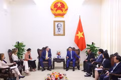 At a meeting between Deputy PM Tran Hong Ha, US Ambassador to Vietnam Marc Knapper and a delegation from the United States Agency for International Development (USAID) in Hanoi on July 9. (Photo: VNA)