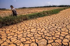 Japan proposes natural disaster prevention cooperation with ASEAN