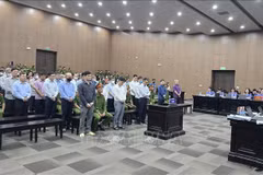 Defendants at the court (Photo: VNA)
