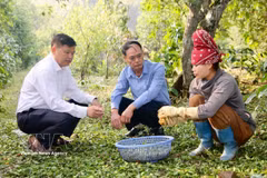 Officials of Chieng An ward, Son La province, check damage at a farm following a hail in Tong Xet village in March 2026. (Photo: VNA)