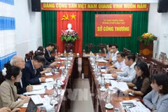 An overview of the working session (Photo: VNA)