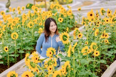 Gallery - Vietnam gains popularity among Indian tourists - image 10