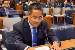 Minister Counsellor Nguyen Hai Luu, Deputy Permanent Representative of Vietnam to the UN, speaks at the session. (Photo: VNA)