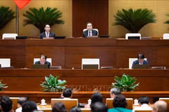 An overview of the National Assembly's discussion on May 24. (Photo: VNA)