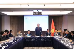 Party General Secretary To Lam speaks at the meeting (Photo: VNA)