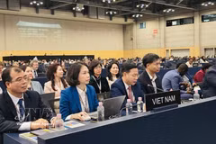 Deputy Minister of Foreign Affairs Ngo Le Van, Chairman of the Vietnam National Commission for UNESCO, speaks at plenary session of the 48th session of the UNESCO World Heritage Committee in Busan on July 20, 2026. (Photo: VNA)