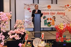 Consul General of Vietnam in San Francisco Hoang Anh Tuan speaks at a meeting with overseas Vietnamese on the occasion of the Lunar New Year. (Photo: VNA)