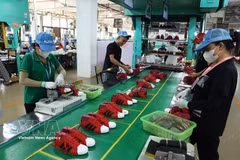 Sport shoes are made for export at a factory in Thanh Hoa (Photo: VNA)