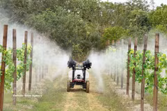 A high-tech agricultural model in China's Guangdong province (Photo: VNA)