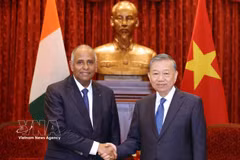 General Secretary of the Communist Party of Vietnam Central Committee and President To Lam (R) receives President of the National Assembly of Côte d’Ivoire Patrick Achi on August 24. (Photo: VNA)