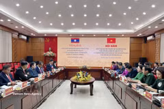 The Vietnam Fatherland Front (VFF) Committee of Hanoi holds talks with the Lao Front for National Construction (LFNC) Committee of Vientiane on August 24. (Photo: VNA)