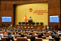 A plenary sitting of the NA's first extraordinary session (Photo: VNA)