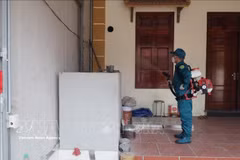 Spraying insecticide to prevent dengue fever in Dan Hoa commune, Hanoi. (Photo: VNA)