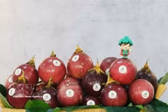 Passion fruit grown in Gia Lai province (Photo: VNA)