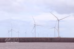 Ca Mau is stepping up renewable energy development, leveraging its coastline of more than 310km (Photo: VNA)