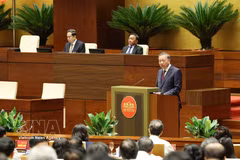 Party General Secretary and State President To Lam addresses the conference on July 1. (Photo: VNA)