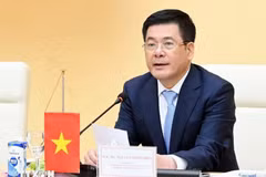 Minister of Industry and Trade Nguyen Hong Dien (Photo: VNA)