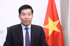 Deputy Foreign Minister Nguyen Manh Cuong (Photo: The Ministry of Foreign Affairs) 