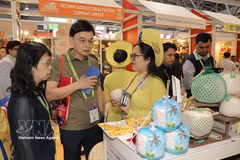 International customers learn about Vietnamese speciality fruits. (Photo: VNA)