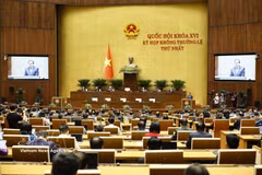 At the 16th NA’s first extraordinary session. (Photo: VNA)