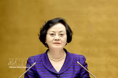 Secretary of the Party Central Committee and Deputy Prime Minister Pham Thi Thanh Tra speaks at the conference. (Photo: VNA)