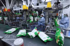 Packing rice for export at Vinh Phat Wilmar Rice Company factory, Binh Duc ward, An Giang province. (Photo: VNA)