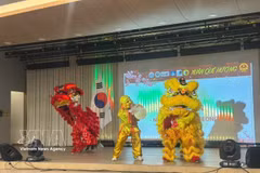 A lion dance performance by the Hwaseong Lion Dance troupe at the programme. (Photo: VNA)