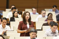 NA deputy Doan Thi Le An from Cao Bang province speaks at the discussion. (Photo: VNA)