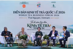 Speakers at the World Tea Business Forum 2026, themed "From Tea Heritage to the Global Tea Economy", on October 31. (Photo: VNA)