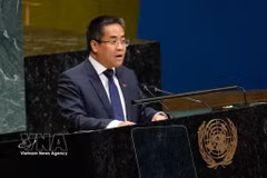 Minister-Counsellor Nguyen Hai Luu, Deputy Permanent Representative of Vietnam to the UN (Photo: VNA)