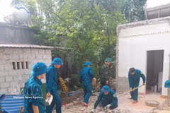 As of June 10, 2026, the Thanh Hoa provincial Military Command deploys 674 officers and soldiers to assist families eligible for the programme to replace temporary and dilapidated homes for the biological children of revolutionaries exposed to toxic chemicals, contributing a total of 4,592 workdays. (Photo: VNA)