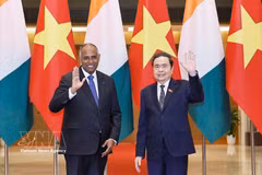National Assembly President Tran Thanh Man (right) and his Côte d’Ivoire counterpart Patrick Achi in Hanoi on August 23 (Photo:VNA)
