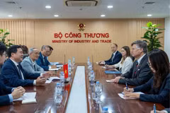 Deputy Minister of Industry and Trade Nguyen Sinh Nhat Tan (second, left) and US Deputy Secretary of State Christopher Landau (second,right) at the working session on June 10. (Photo: congthuong.vn)