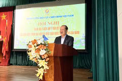 VWVA President Sen Lt Gen Be Xuan Truong speaks at the conference. (Photo: VNA)