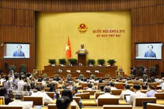 A plenary discussion as part of the second session of the 16th National Assembly (Photo: VNA)