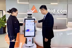 Digital trade promotion helps businesses cut costs and improve efficiency. (Photo: VNA) 