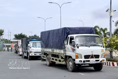 Trucks carrying goods gather and wait for customs clearance procedures at the Khanh Binh international border gate (Photo: VNA) 