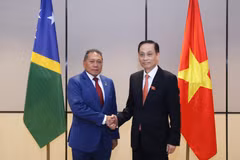 Minister of Foreign Affairs Le Hoai Trung (right) and Solomon Islands Minister for Foreign Afairs and External Trade Peter Shanel Agovaka at their meeting on November 11. (Photo: Ministry of Foreign Affairs)