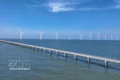 The Hoa Binh 1 and 2 wind power plants in Vinh Hau commune, Ca Mau province generate around 400 million kWh annually, contributing to the country’s energy security (Photo: VNA) 