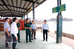 The Ministry of National Defence's inter-agency inspection team visits La Gi Fish Port in Phuoc Hoi ward, Lam Dong province. (Photo: VNA)