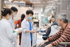 The Government will also prioritise an increase in the State budget for health care (Photo: VNA)