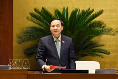Vice President of the National Assembly Nguyen Khac Dinh delivers a speech (Photo: VNA)