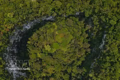 Lush vegetation, including numerous large trees, thrives inside the giant natural sinkhole in the Cha Noi–Khe Gat area of Phong Nha–Ke Bang National Park, Quang Tri province (Photo: VNA)