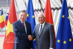 Top leader holds talks with European Council President
