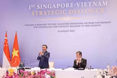 Politburo member, Standing member of the Secretariat of the Communist Party of Vietnam (CPV) Central Committee Tran Cam Tu (standing) and Singaporean Coordinating Minister for Public Services and Minister for Defence Chan Chun Sing co-chair the first Singapore-Vietnam Strategic Dialogue. (Photo: VNA)
