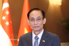 Politburo Member and Minister of Foreign Affairs Le Hoai Trung (Photo: VNA)