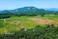 Wartime farm emerges as community tourism destination