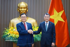 Prime Minister Le Minh Hung (right) and RoK Ambassador to Vietnam Choi Young-sam at their meeting on June 29 (Photo: VNA)