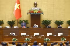 NA Vice Chairman Vu Hong Thanh speaks at the session on December 3, 2025 (Photo: VNA)