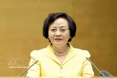 Deputy Prime Minister Pham Thi Thanh Tra speaks at the nationwide conference in Hanoi on October 16 to study, disseminate and implement the resolutions of the 14th Communist Party of Vietnam (CPV) Central Committee’s fourth plenum, on October 16 morning (Photo: VNA)